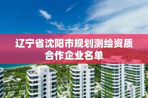 辽宁省沈阳市规划测绘资质合作企业名单