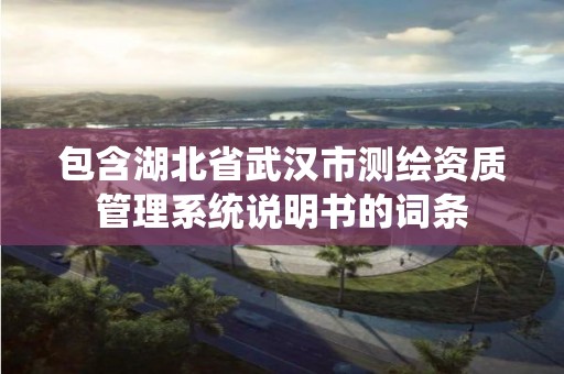 包含湖北省武汉市测绘资质管理系统说明书的词条