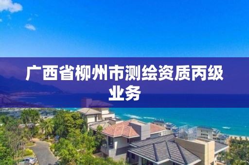 广西省柳州市测绘资质丙级业务