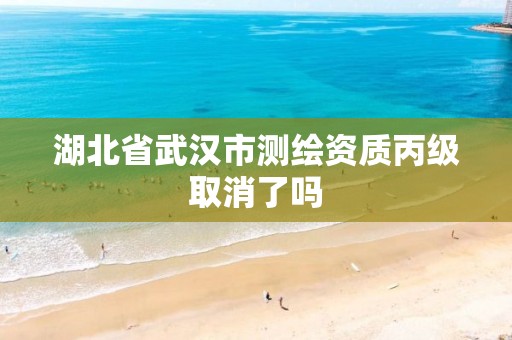 湖北省武汉市测绘资质丙级取消了吗