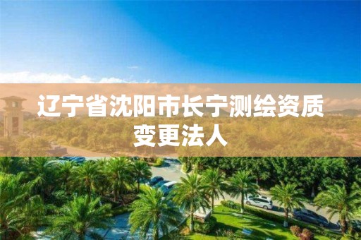 辽宁省沈阳市长宁测绘资质变更法人