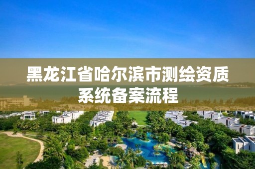 黑龙江省哈尔滨市测绘资质系统备案流程