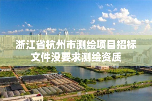 浙江省杭州市测绘项目招标文件没要求测绘资质