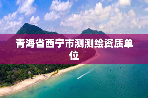 青海省西宁市测测绘资质单位