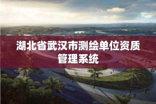 湖北省武汉市测绘单位资质管理系统