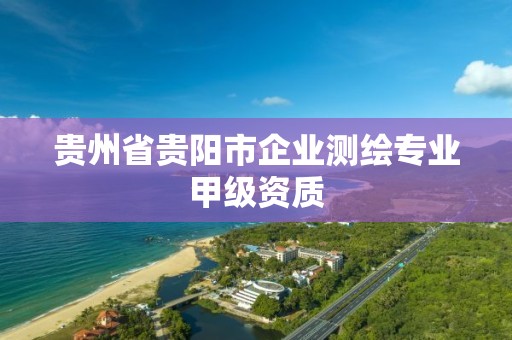 贵州省贵阳市企业测绘专业甲级资质