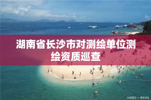 湖南省长沙市对测绘单位测绘资质巡查