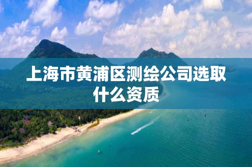 上海市黄浦区测绘公司选取什么资质