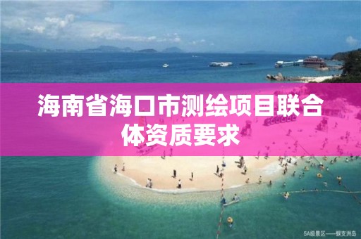 海南省海口市测绘项目联合体资质要求