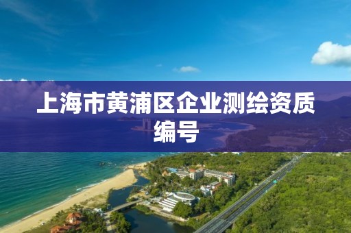 上海市黄浦区企业测绘资质编号