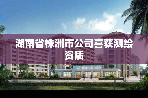 湖南省株洲市公司喜获测绘资质