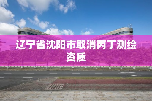 辽宁省沈阳市取消丙丁测绘资质