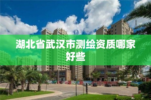 湖北省武汉市测绘资质哪家好些