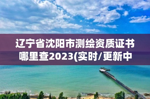 辽宁省沈阳市测绘资质证书哪里查2023(实时/更新中)