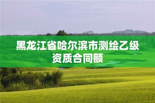 黑龙江省哈尔滨市测绘乙级资质合同额