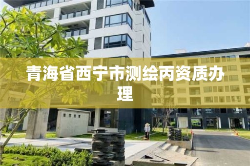 青海省西宁市测绘丙资质办理