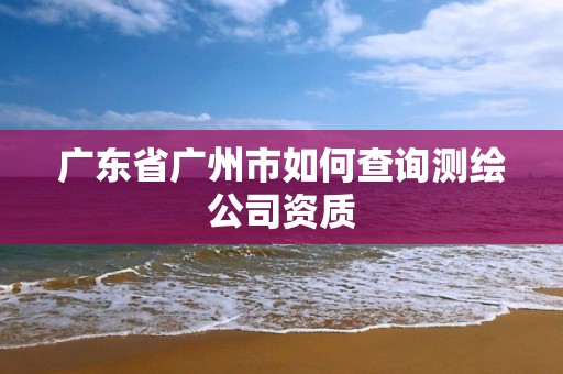 广东省广州市如何查询测绘公司资质