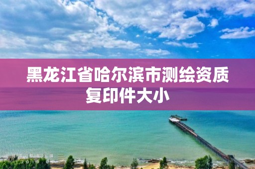 黑龙江省哈尔滨市测绘资质复印件大小