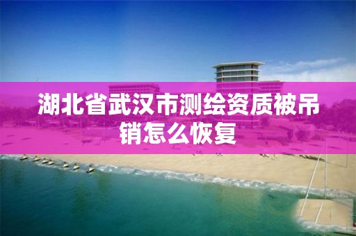 湖北省武汉市测绘资质被吊销怎么恢复