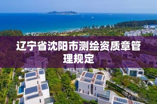 辽宁省沈阳市测绘资质章管理规定