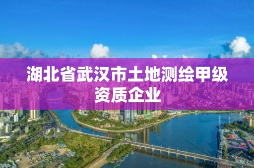 湖北省武汉市土地测绘甲级资质企业