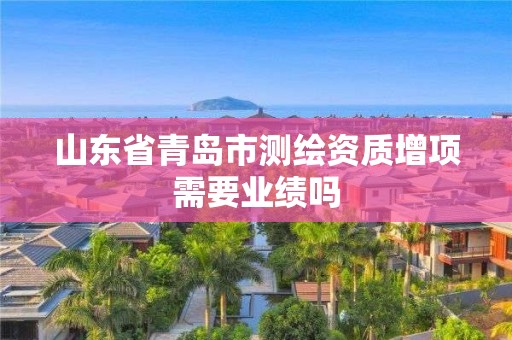 山东省青岛市测绘资质增项需要业绩吗