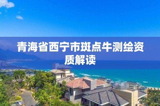 青海省西宁市斑点牛测绘资质解读