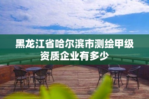 黑龙江省哈尔滨市测绘甲级资质企业有多少