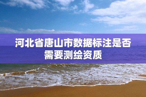 河北省唐山市数据标注是否需要测绘资质