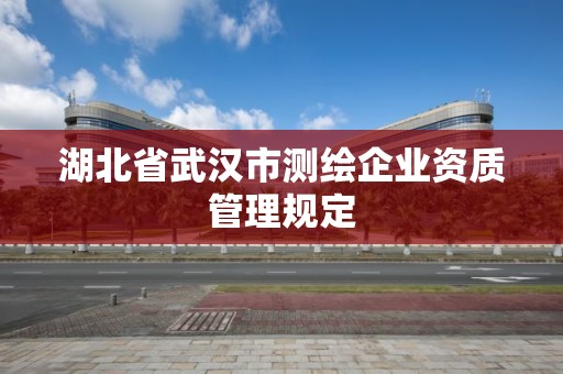 湖北省武汉市测绘企业资质管理规定