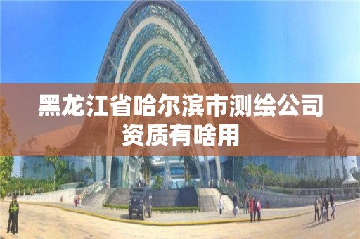 黑龙江省哈尔滨市测绘公司资质有啥用