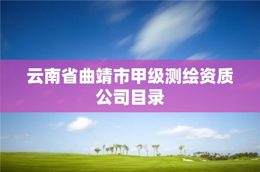 云南省曲靖市甲级测绘资质公司目录