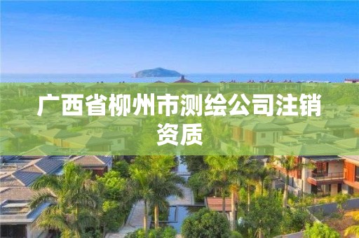 广西省柳州市测绘公司注销资质