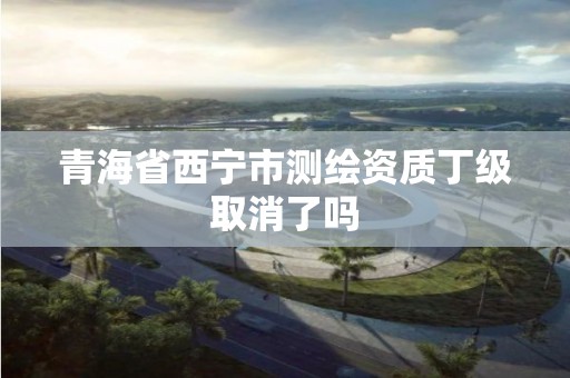 青海省西宁市测绘资质丁级取消了吗