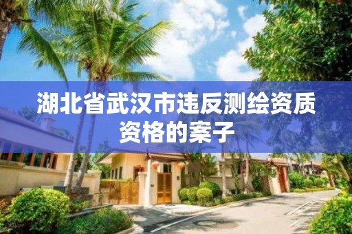 湖北省武汉市违反测绘资质资格的案子