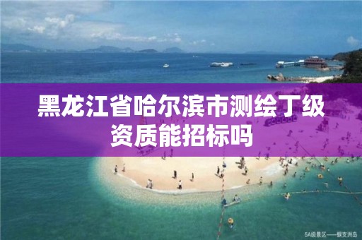 黑龙江省哈尔滨市测绘丁级资质能招标吗