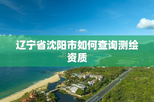 辽宁省沈阳市如何查询测绘资质