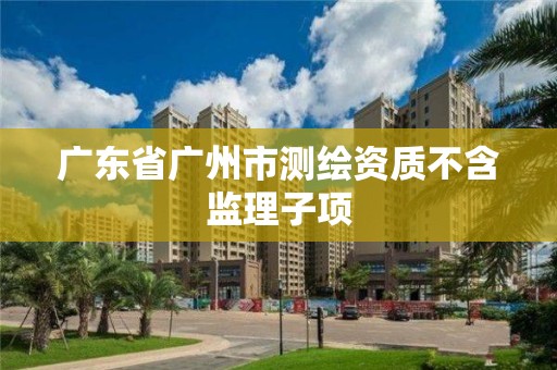 广东省广州市测绘资质不含监理子项