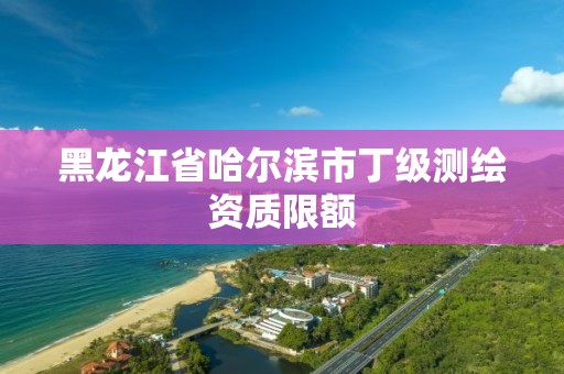 黑龙江省哈尔滨市丁级测绘资质限额