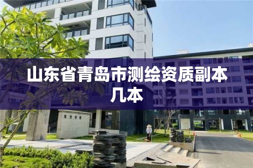 山东省青岛市测绘资质副本几本