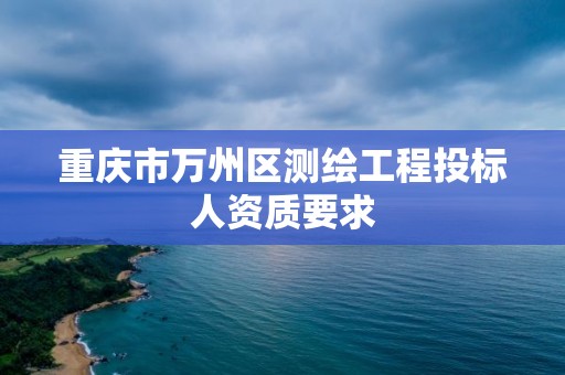 重庆市万州区测绘工程投标人资质要求