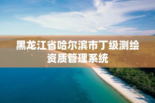 黑龙江省哈尔滨市丁级测绘资质管理系统