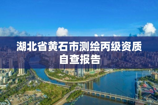 湖北省黄石市测绘丙级资质自查报告