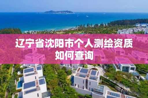 辽宁省沈阳市个人测绘资质如何查询