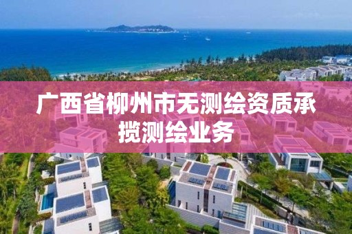 广西省柳州市无测绘资质承揽测绘业务