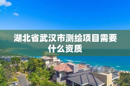 湖北省武汉市测绘项目需要什么资质