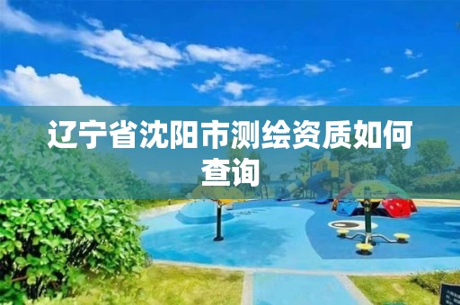 辽宁省沈阳市测绘资质如何查询