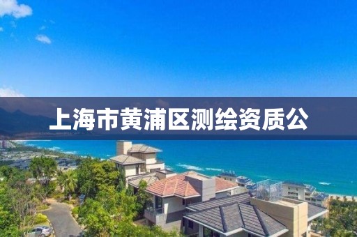 上海市黄浦区测绘资质公