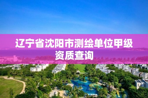 辽宁省沈阳市测绘单位甲级资质查询