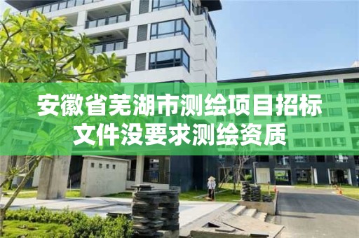 安徽省芜湖市测绘项目招标文件没要求测绘资质